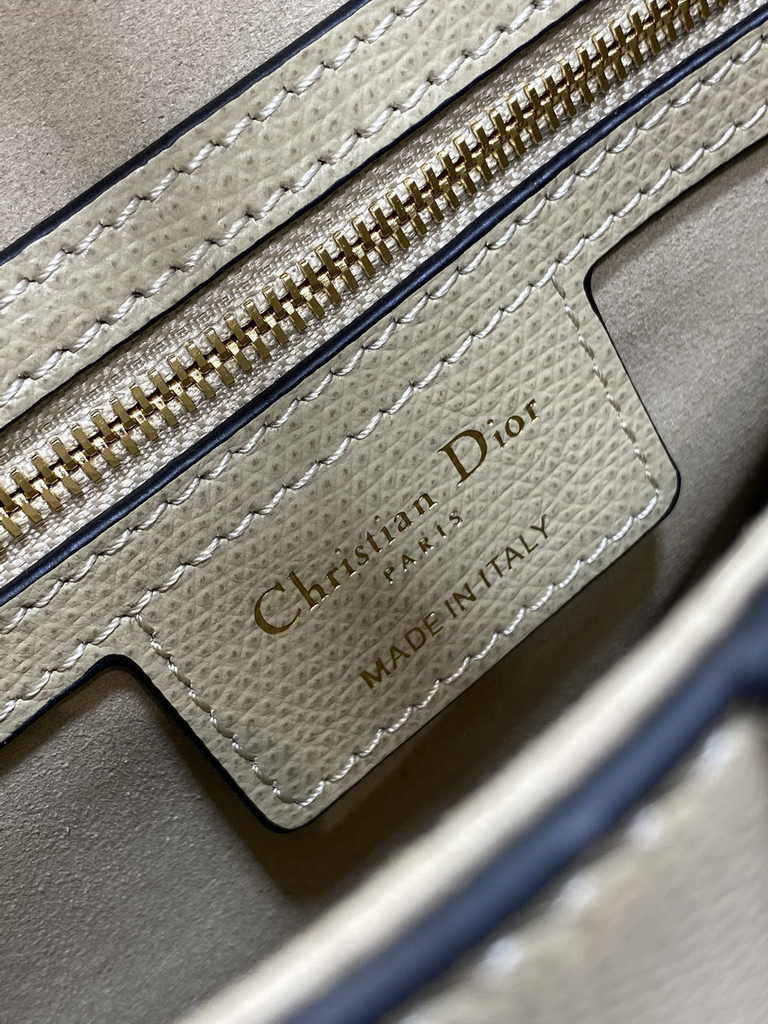 Dior Saddle Bag with Strap M0455 Apricot Grained Calfskin