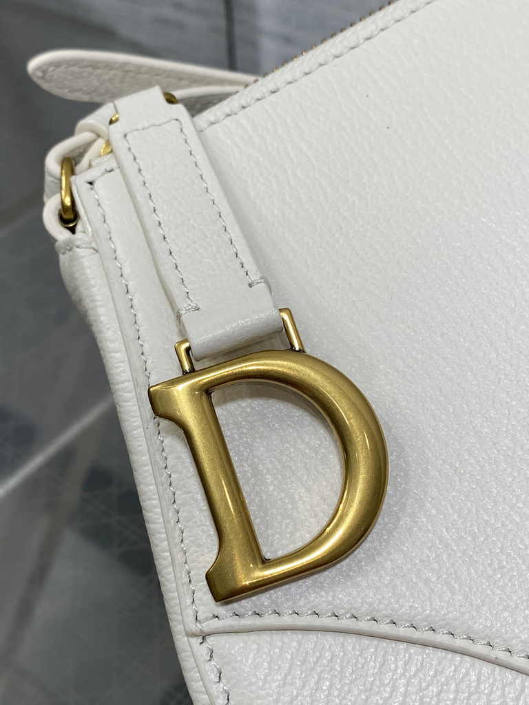Dior Saddle Shoulder Pouch S5909 Latte Goatskin