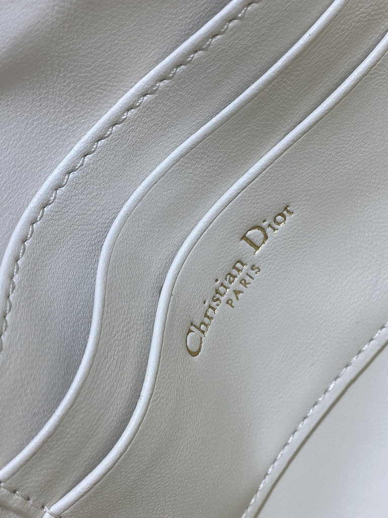 Dior Saddle Shoulder Pouch S5909 Latte Goatskin