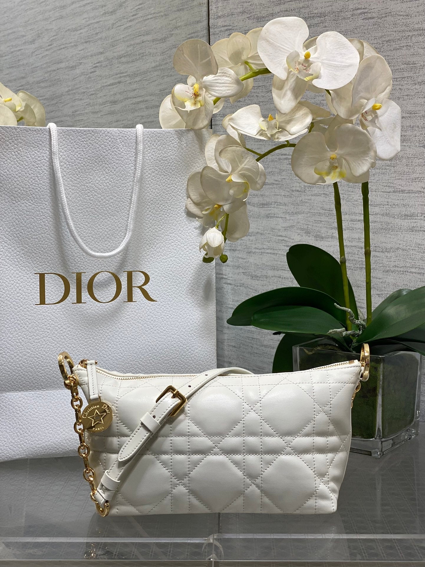 Diorstar Hobo Bag with Chain -S3202 - Beige Macrocannage Lambskin - Default Title - View 1