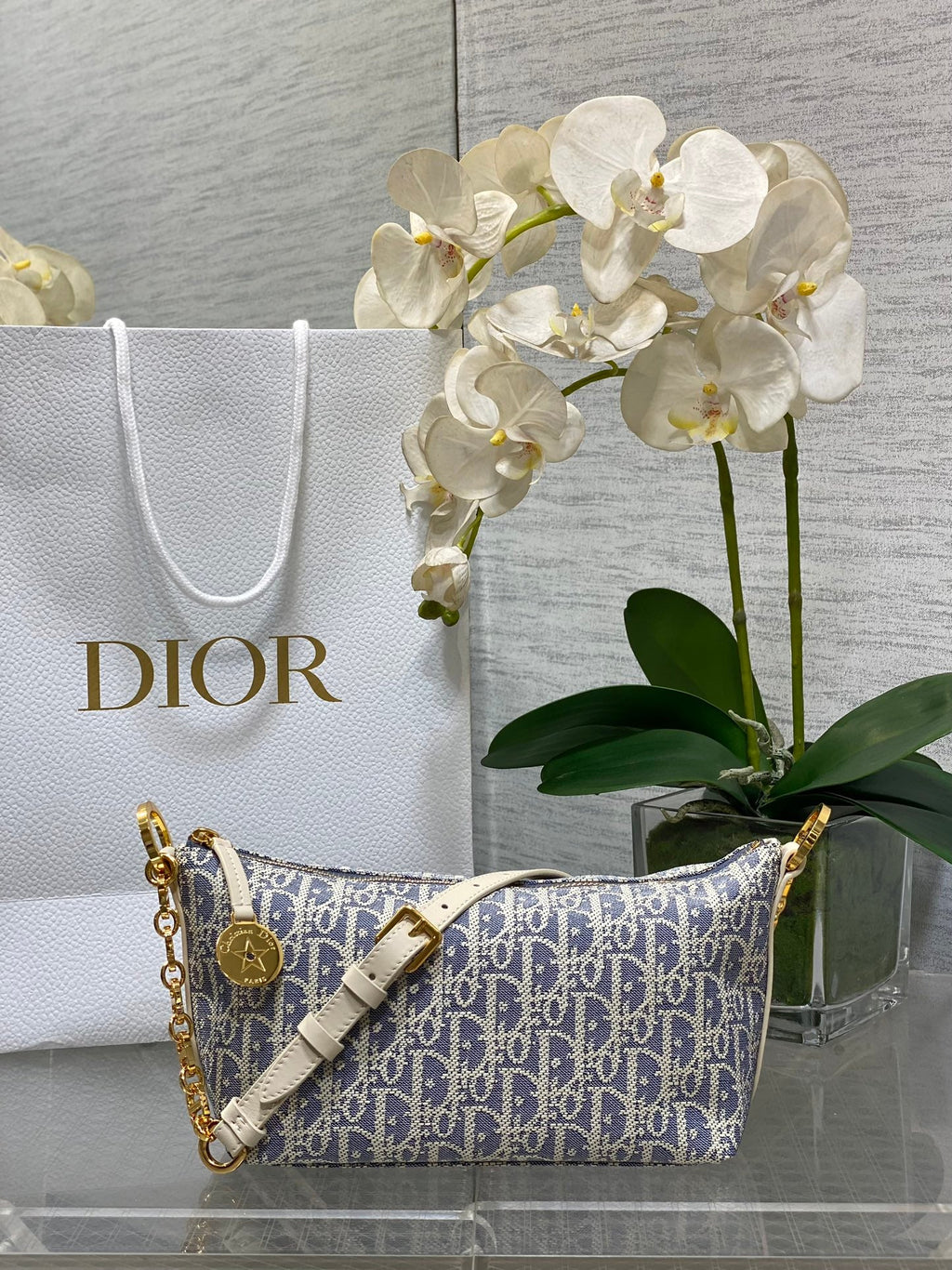Diorstar Hobo Bag with Chain -S3202 - White Blue Dior Oblique Jacquard - Default Title - View 1