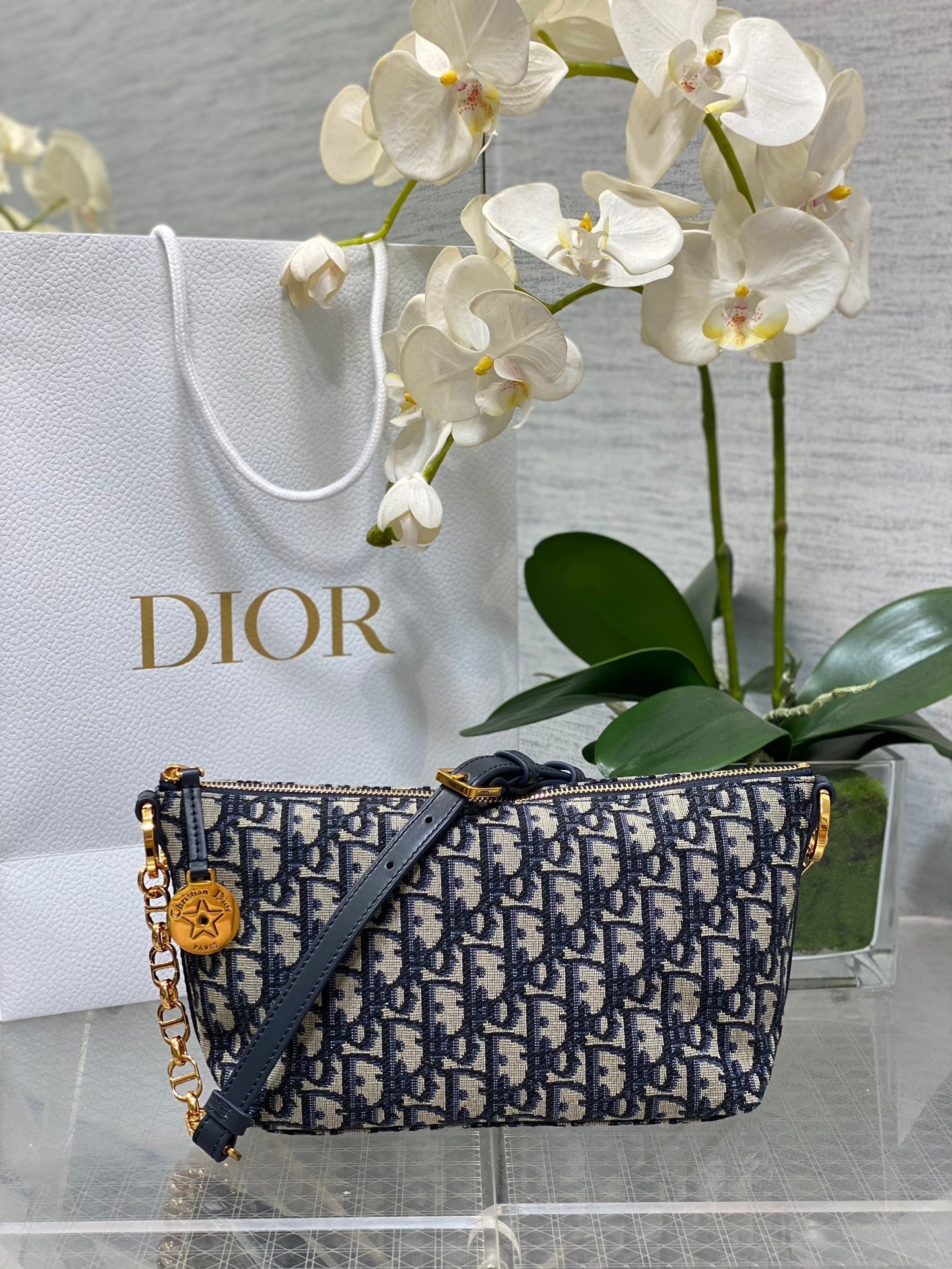 Diorstar Hobo Bag with Chain -S3202 - Blue Dior Oblique Jacquard - Default Title - View 1