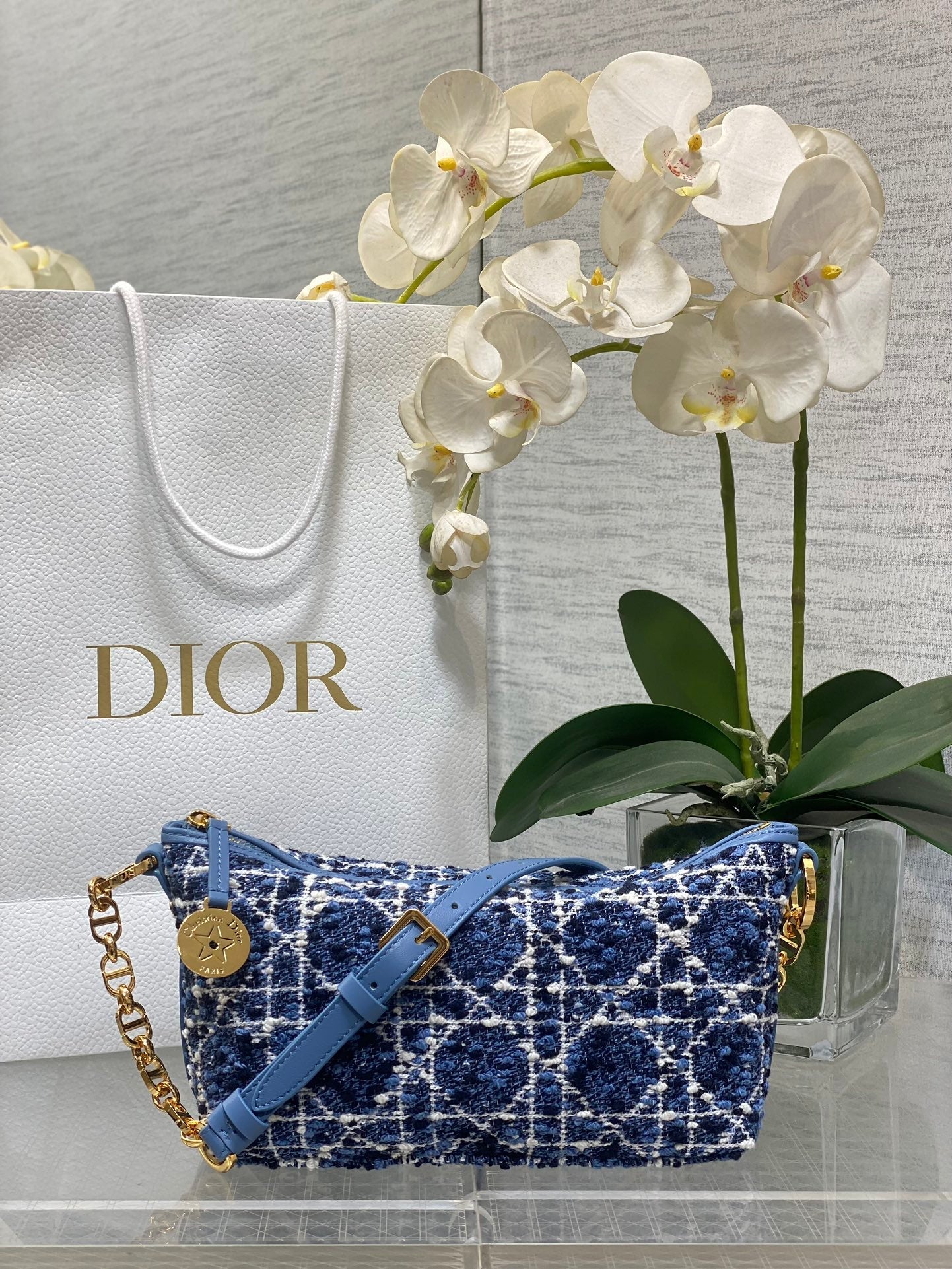 Diorstar Hobo Bag with Chain -S3202 - Blue Caro Tweed - Default Title - View 1
