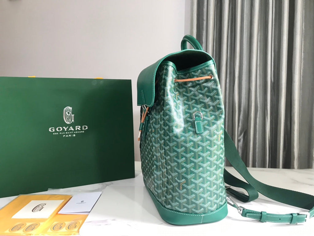 Goyard Alpin MM Backpack GY020308 Green