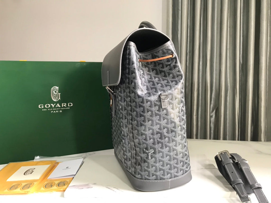Goyard Alpin MM Backpack GY020308 Gray