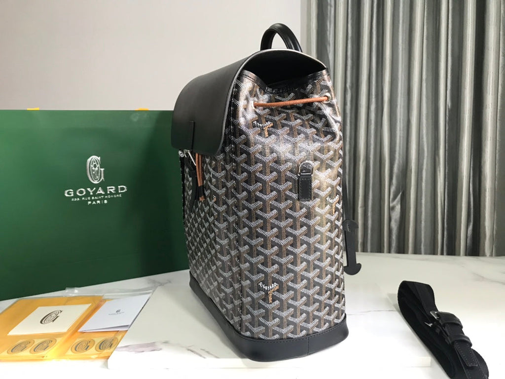 Goyard Alpin MM Backpack GY020308 Black