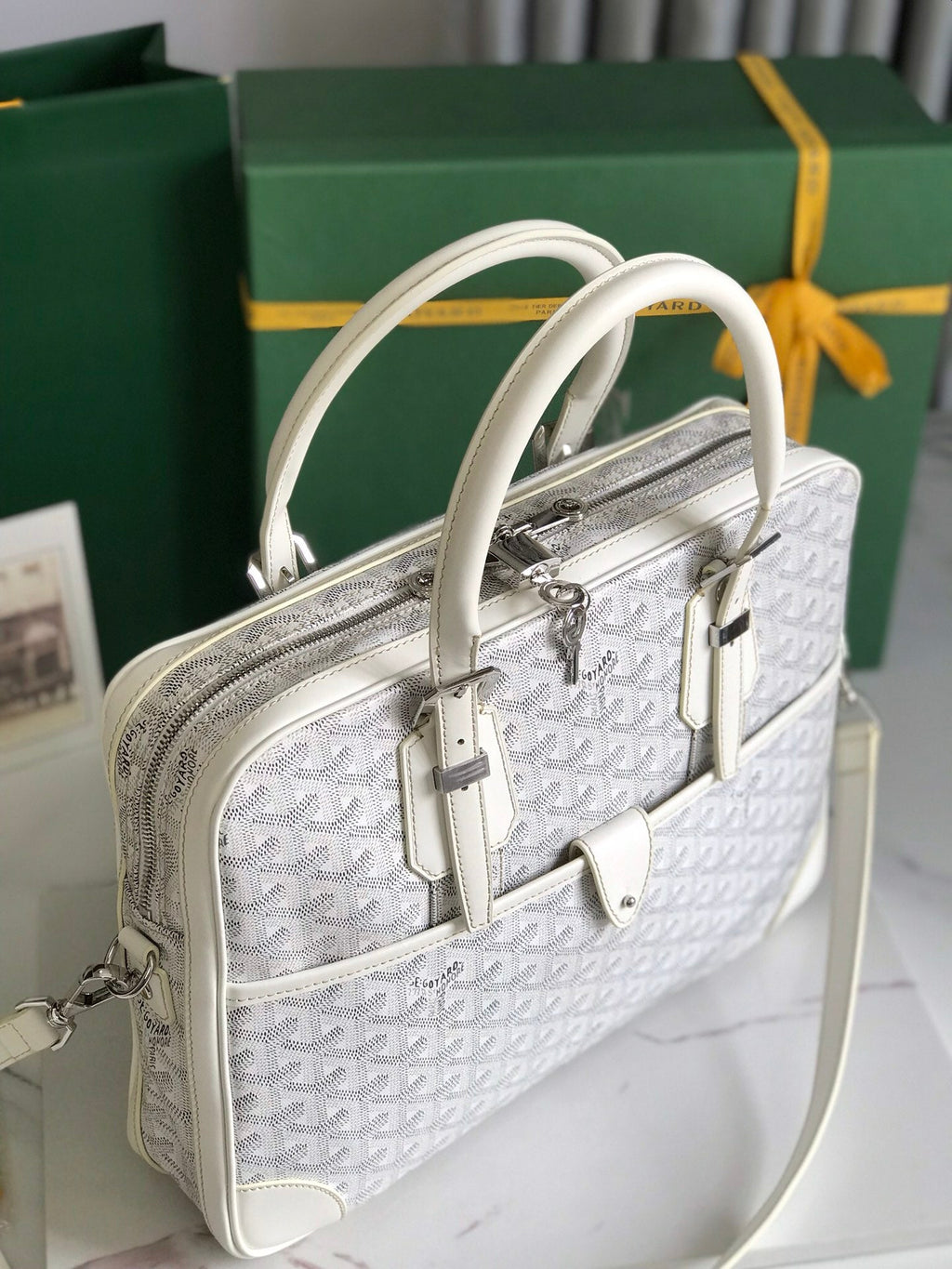 Goyard Ambassade MM Document Case GY0202889 White