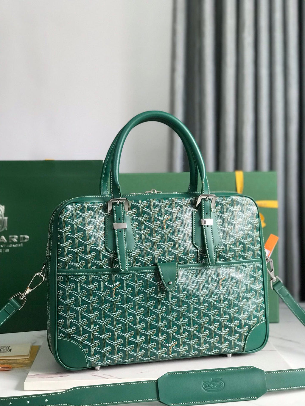 Goyard Ambassade MM Document Case GY0202889 Green