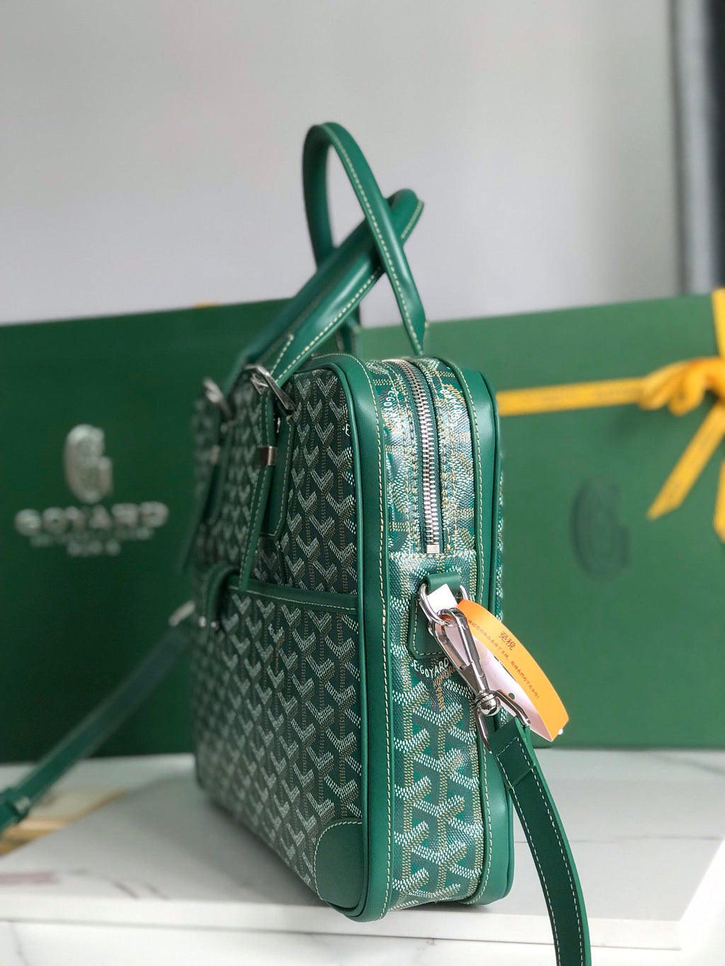 Goyard Ambassade MM Document Case GY0202889 Green