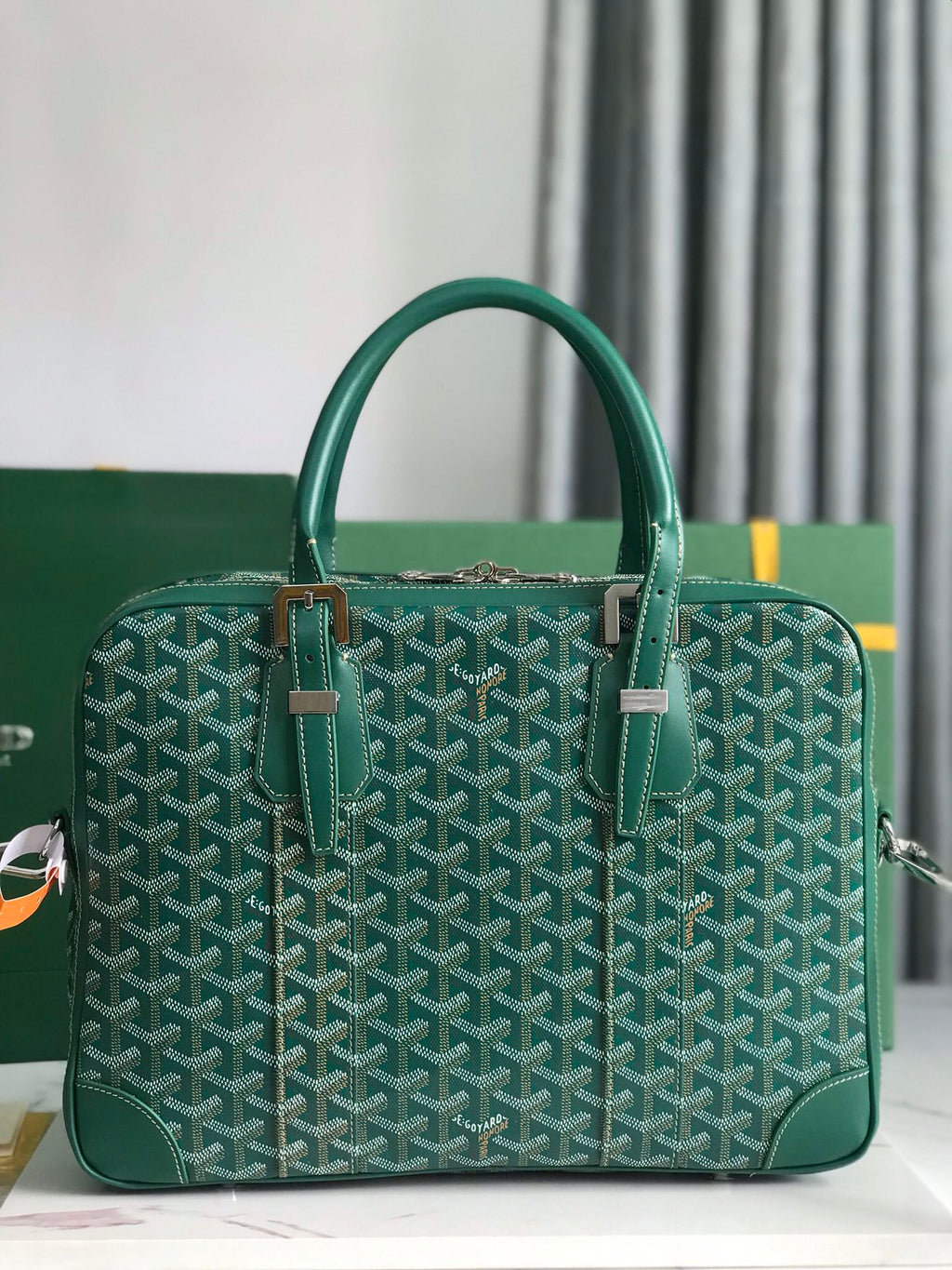 Goyard Ambassade MM Document Case GY0202889 Green