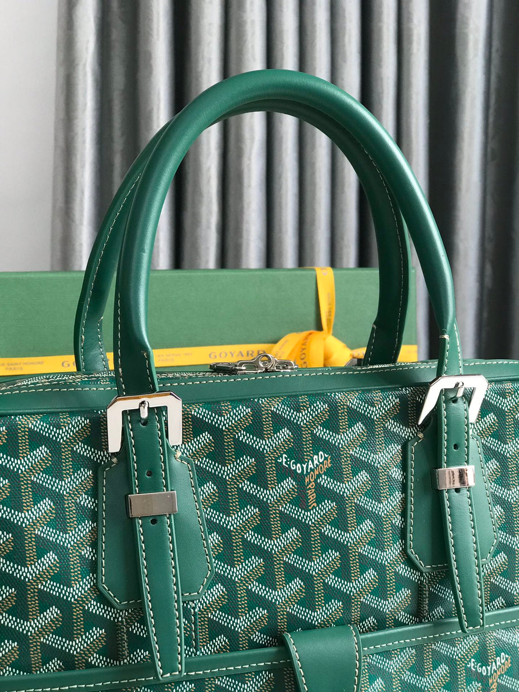 Goyard Ambassade MM Document Case GY0202889 Green