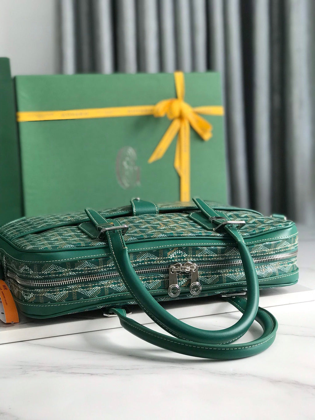 Goyard Ambassade MM Document Case GY0202889 Green