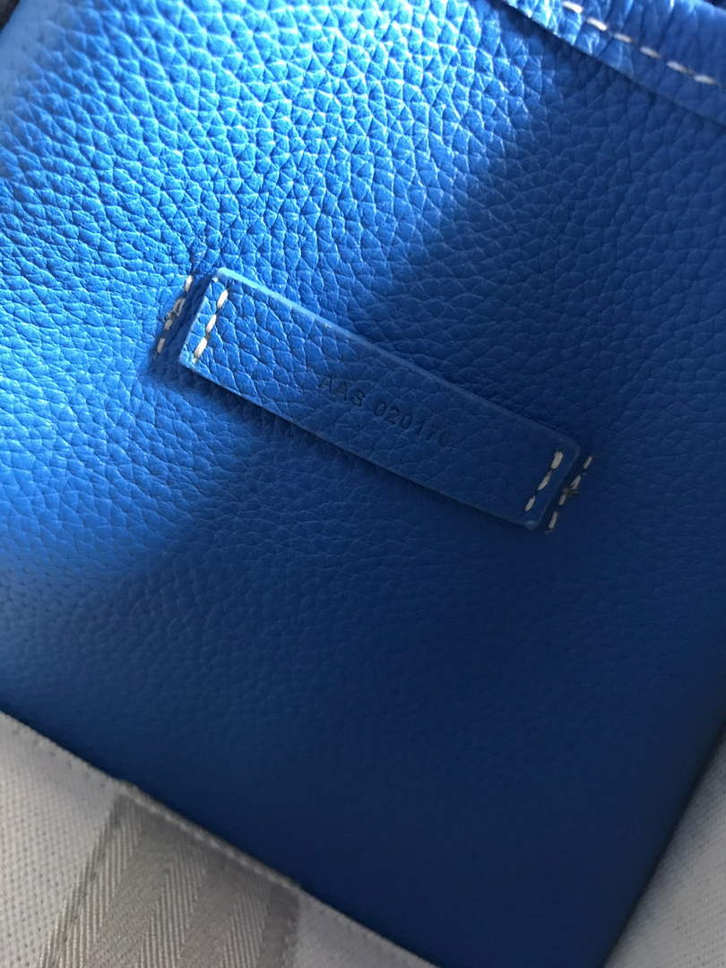 Goyard Hardy PM Tote Bag GY020176 Blue