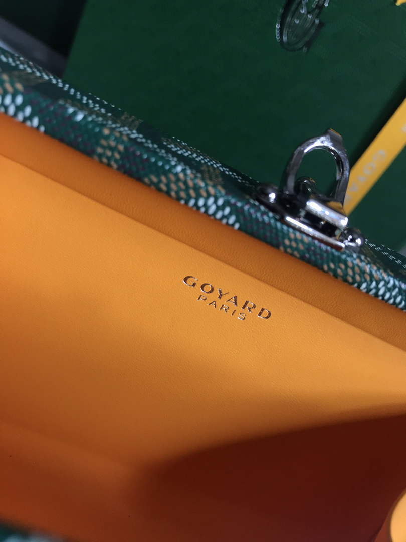 Goyard Minaudière Trunk Bag GY020290 Green