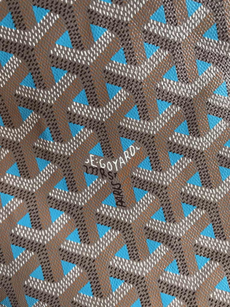 Goyard Poitiers Claire-Voie Bag GY020187 Beige Blue