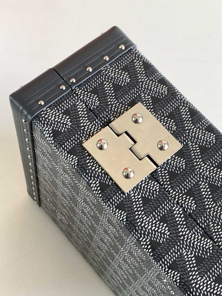 Goyard Travel bags Watch Case GY030290 Gray