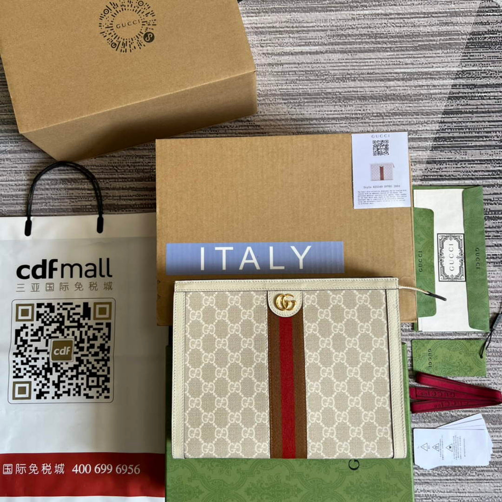 Gucci 625549 Ophidia pouch beige