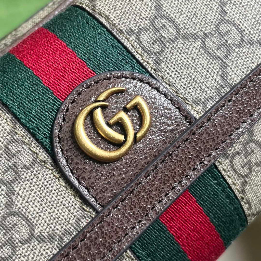 Gucci ophidia mini bag 746308 in brown