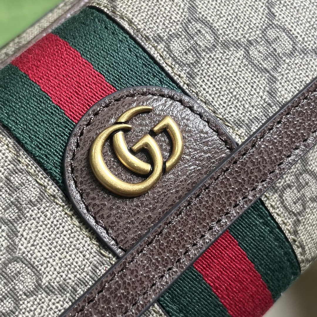 Gucci ophidia mini bag 746308 in brown