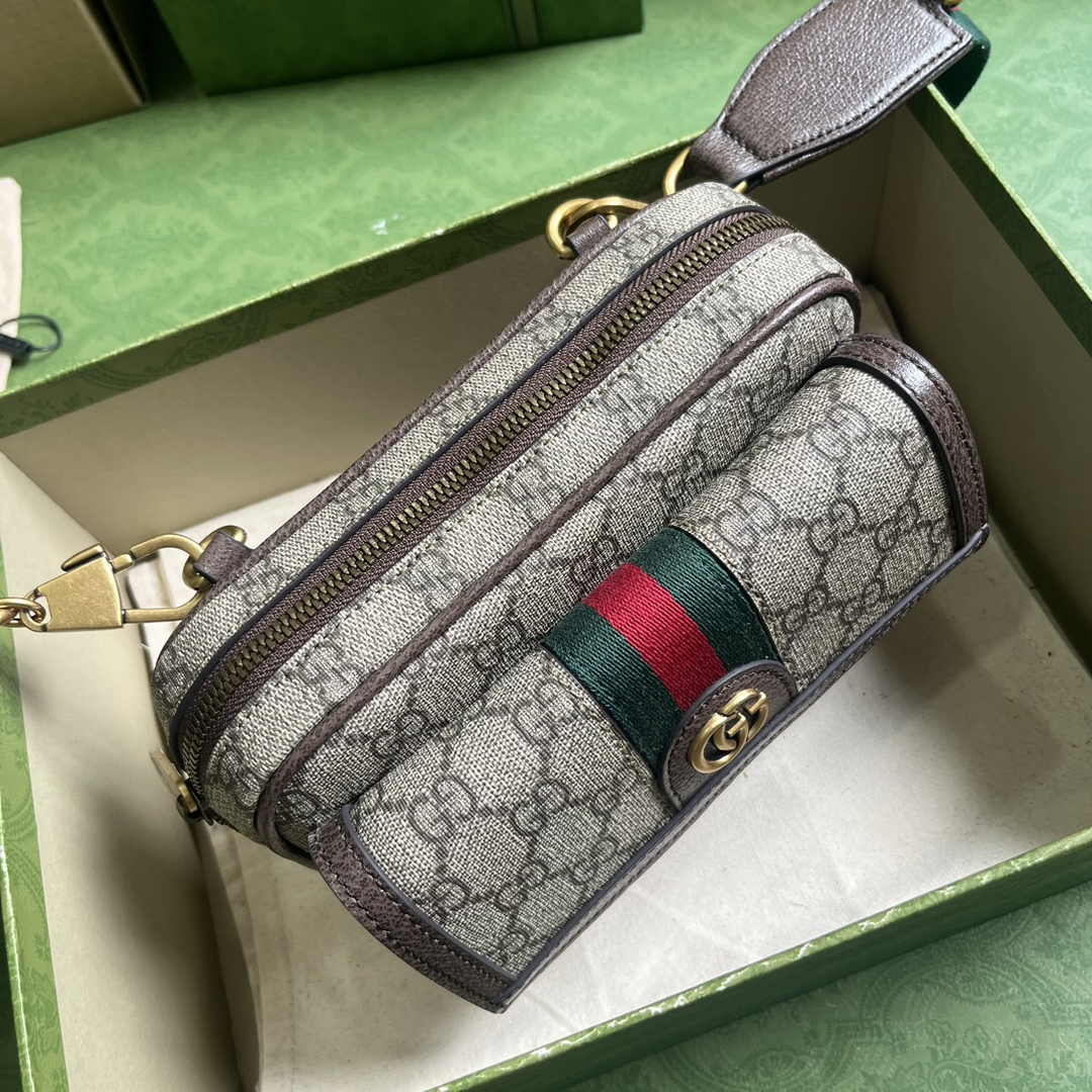 Gucci ophidia mini bag 746308 in brown