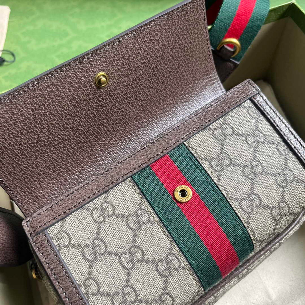 Gucci ophidia mini bag 746308 in brown