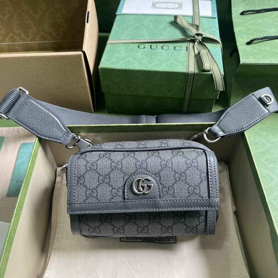 Gucci ophidia mini bag 746308 in gray