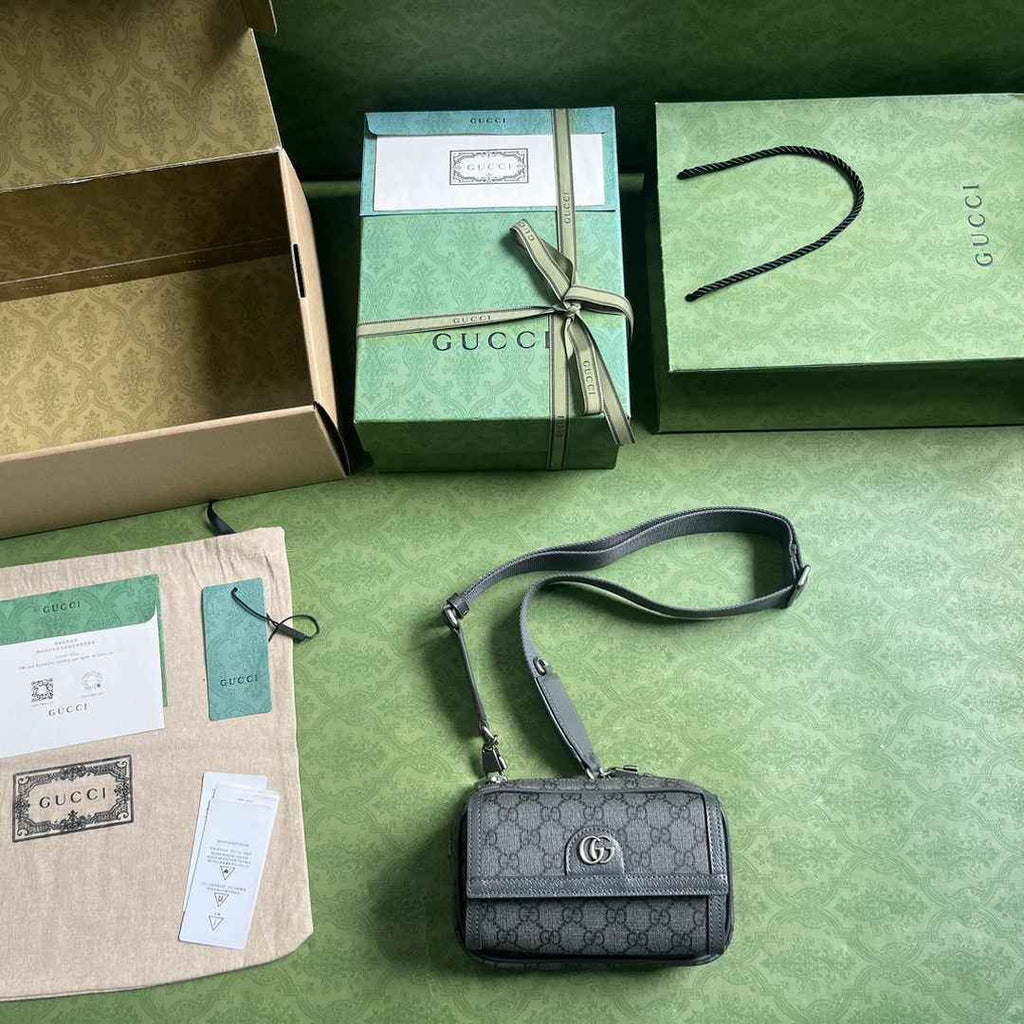 Gucci ophidia mini bag 746308 in gray