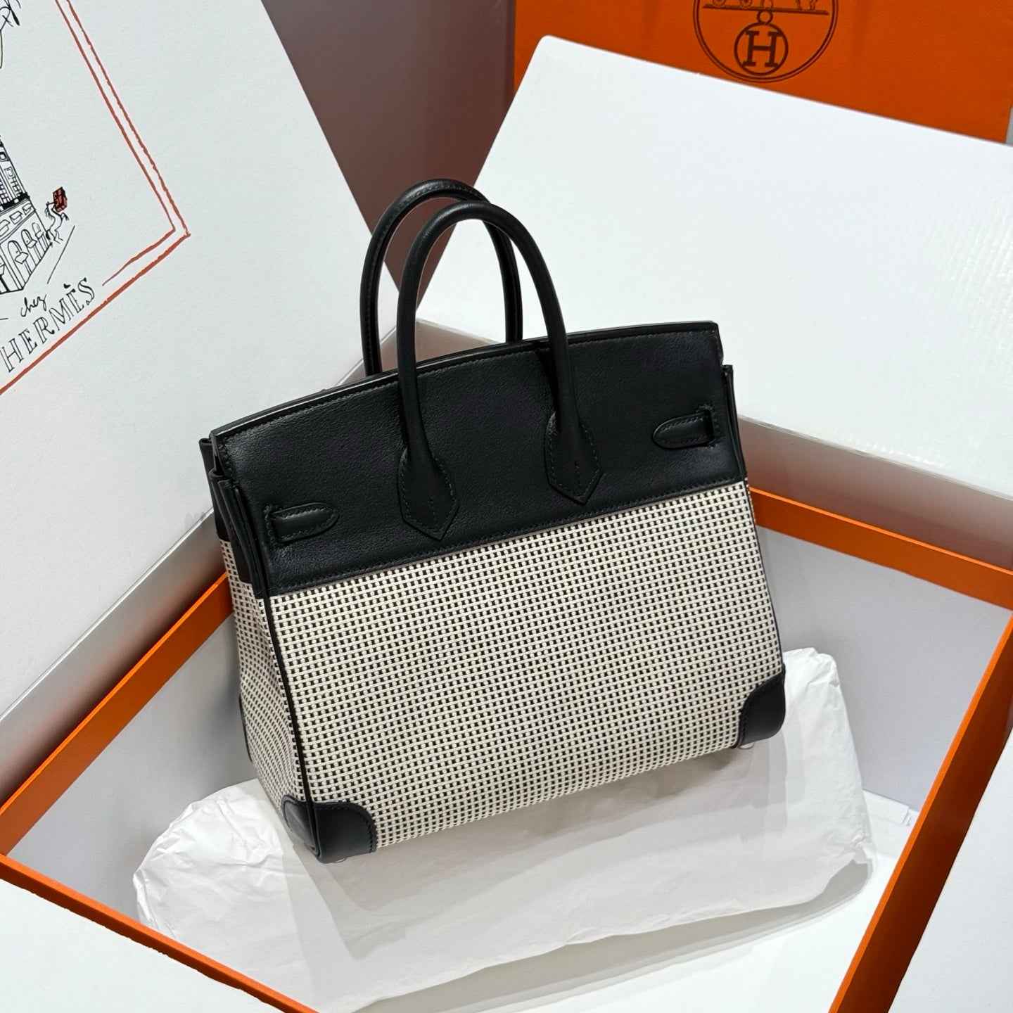 Hermès Birkin Bag 25cm Silver Hardware Black Swift Leather Canvas