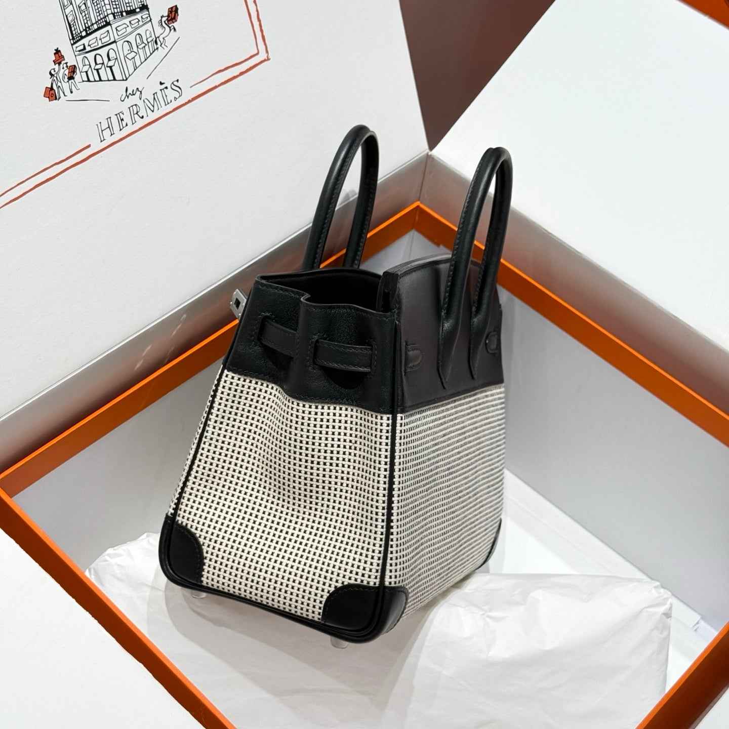 Hermès Birkin Bag 25cm Silver Hardware Black Swift Leather Canvas