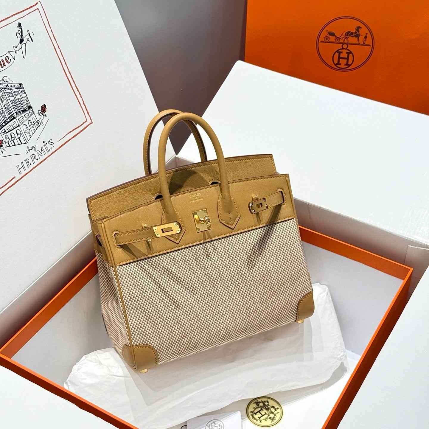 Hermès Birkin Bag 25cm Gold Hardware Apricot Swift Leather Canvas