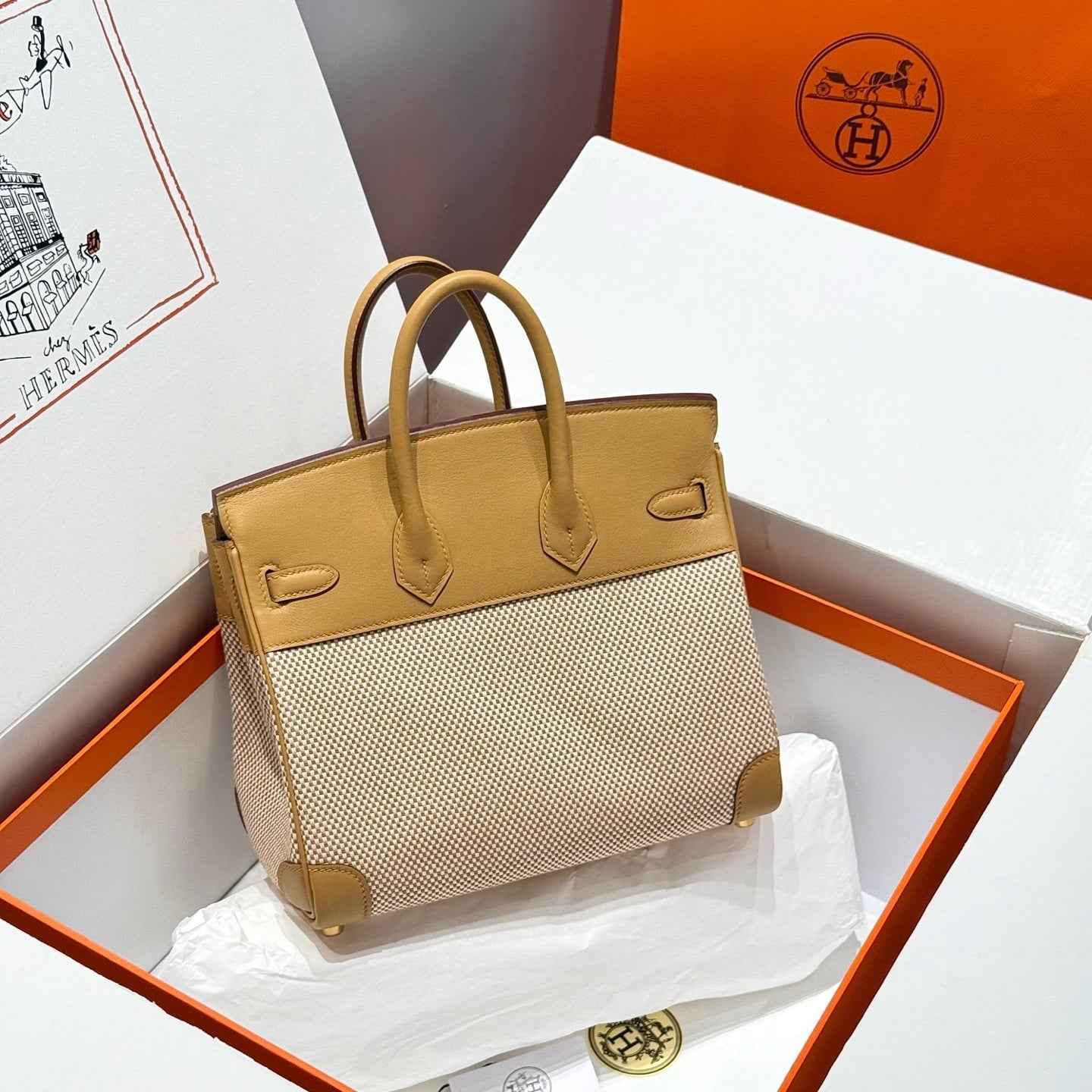 Hermès Birkin Bag 25cm Gold Hardware Apricot Swift Leather Canvas