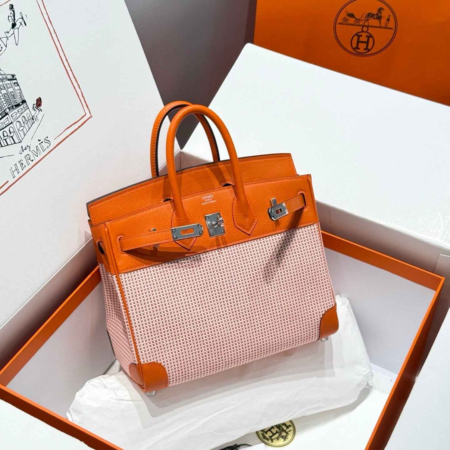 Hermès Birkin Bag 25cm Silver Hardware Orange Swift Leather Canvas