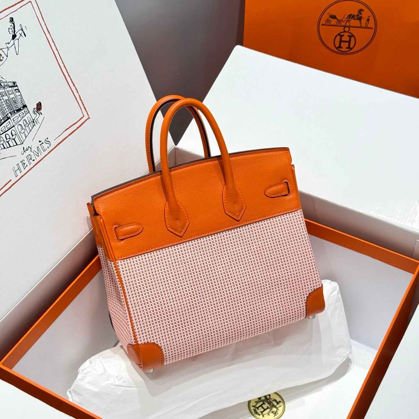Hermès Birkin Bag 25cm Silver Hardware Orange Swift Leather Canvas