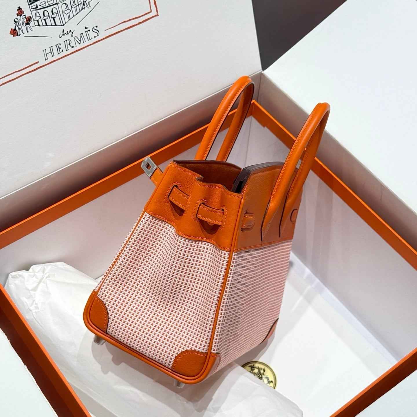 Hermès Birkin Bag 25cm Silver Hardware Orange Swift Leather Canvas