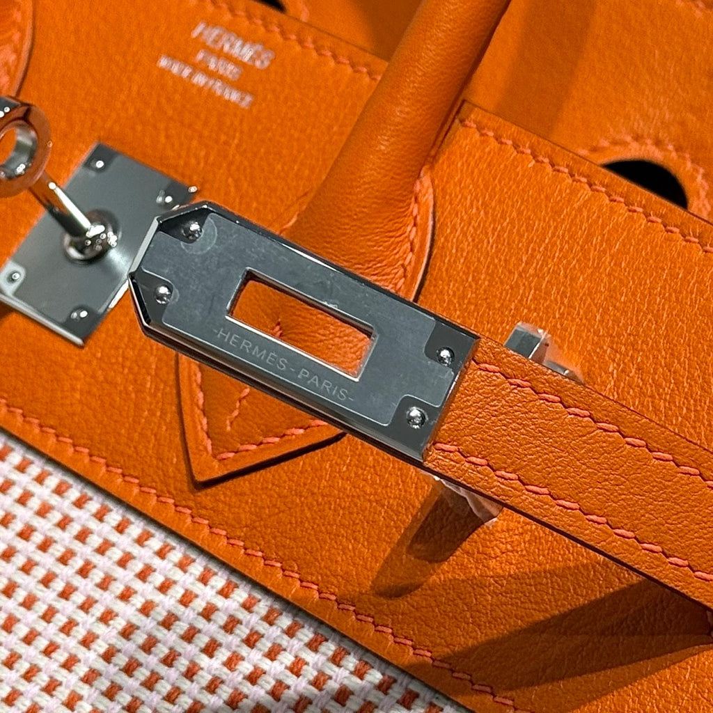 Hermès Birkin Bag 25cm Silver Hardware Orange Swift Leather Canvas