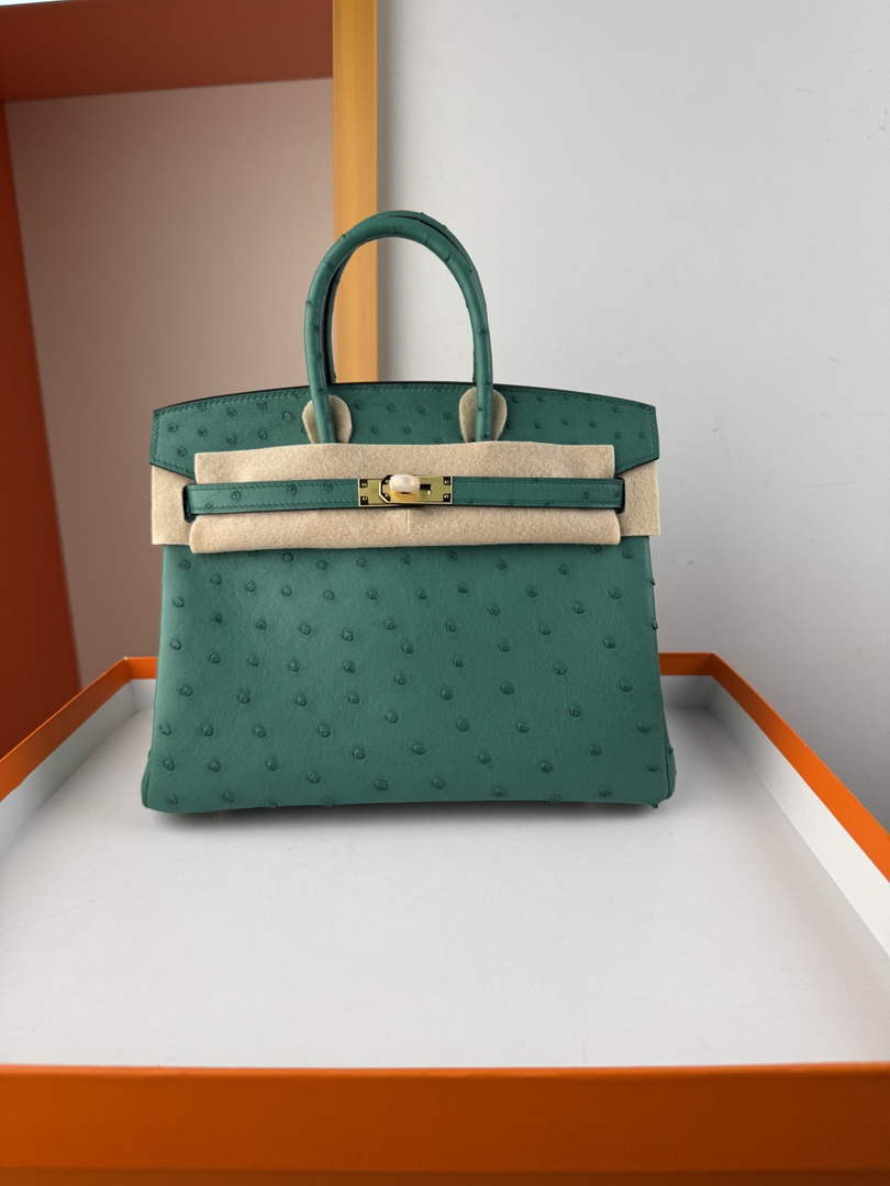 Hermès birkin bag 25cm ostrich leather