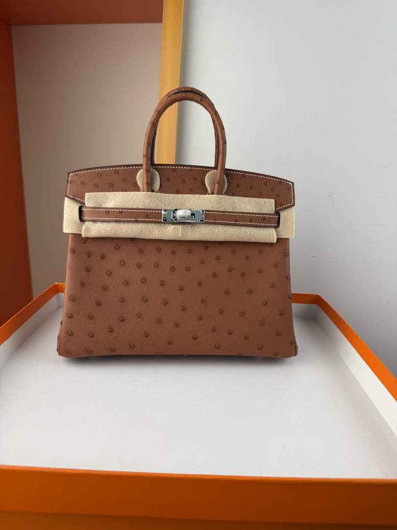 Hermès birkin bag 25cm ostrich leather