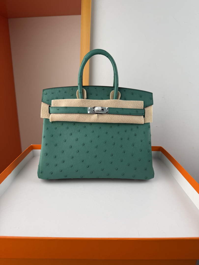 Hermès birkin bag 25cm ostrich leather