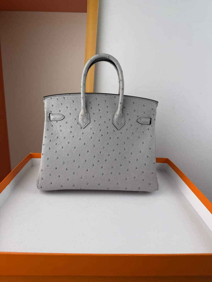 Hermès birkin bag 25cm ostrich leather