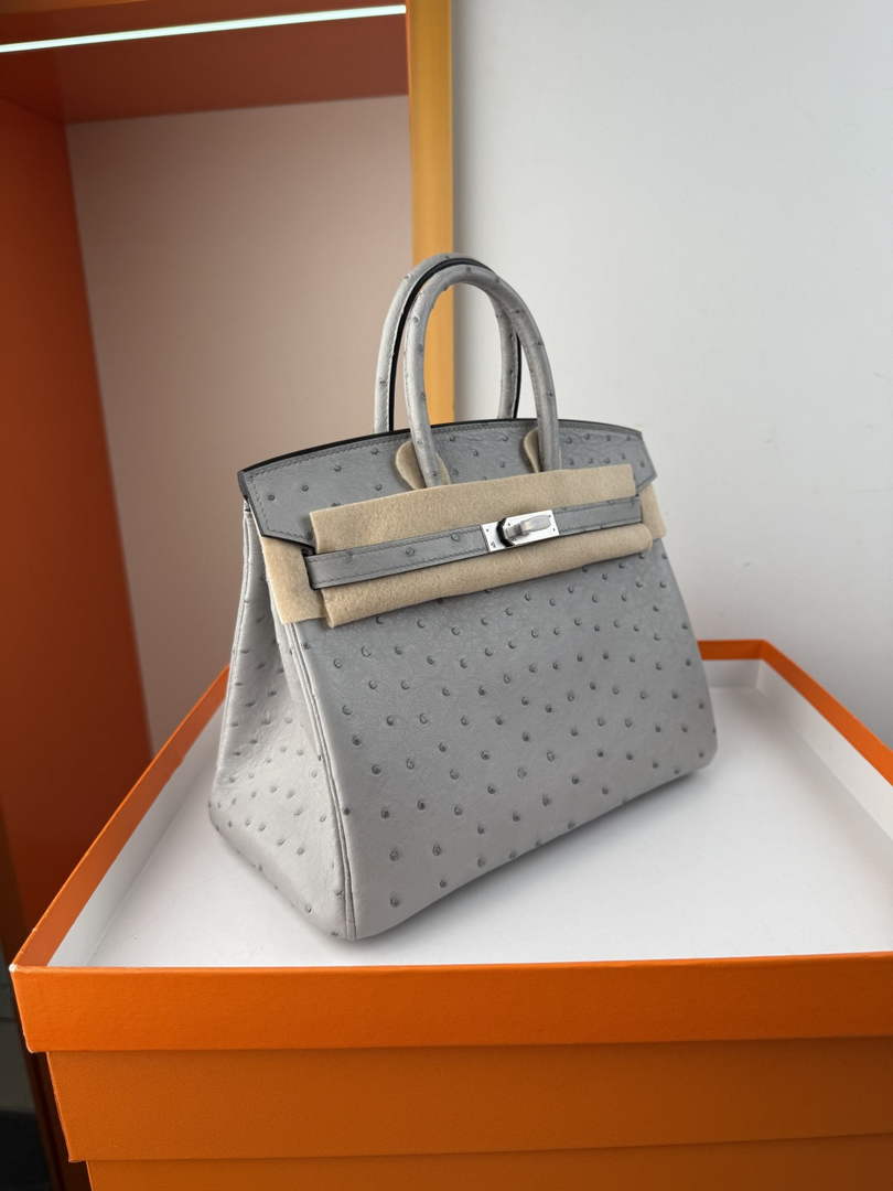 Hermès birkin bag 25cm ostrich leather