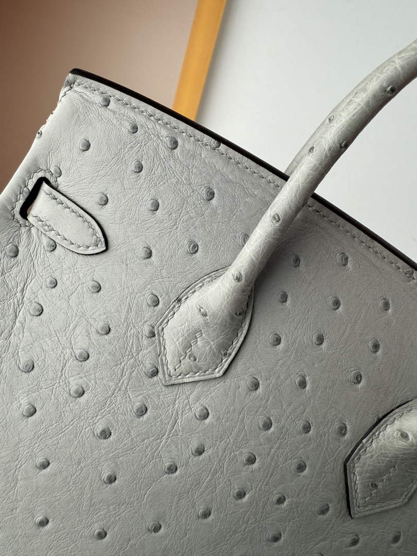 Hermès birkin bag 25cm ostrich leather