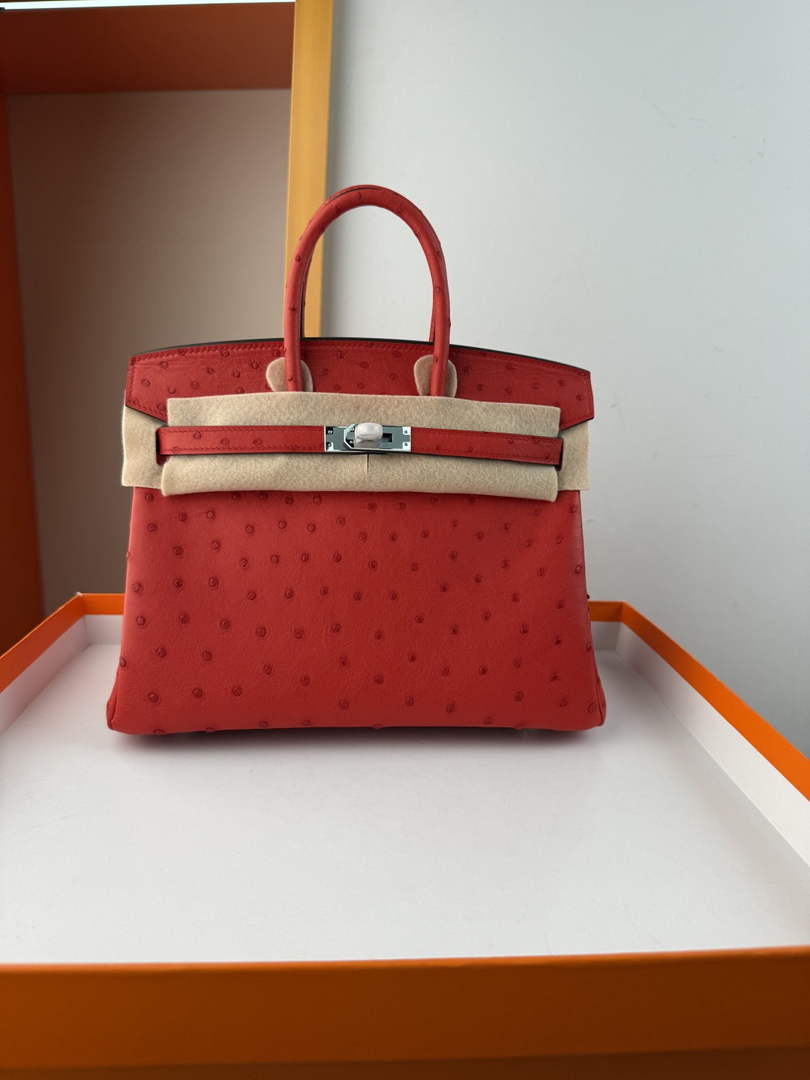 Hermès birkin bag 25cm ostrich leather