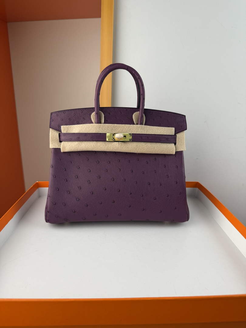 Hermès birkin bag 25cm ostrich leather