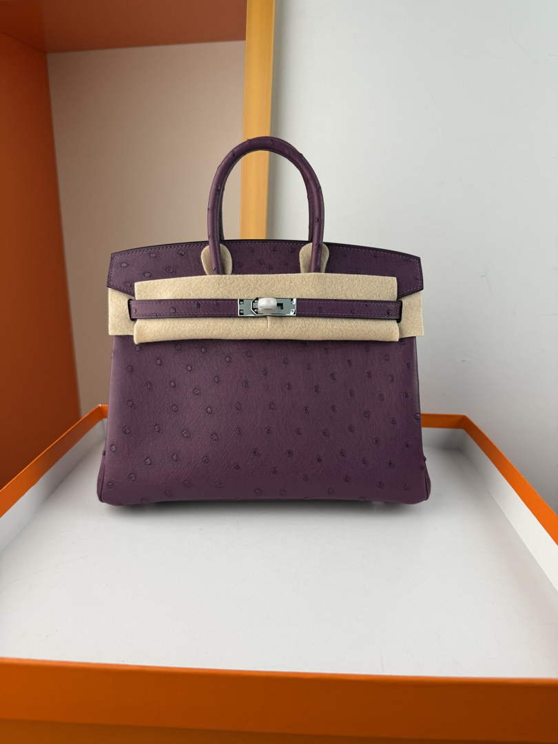 Hermès birkin bag 25cm ostrich leather
