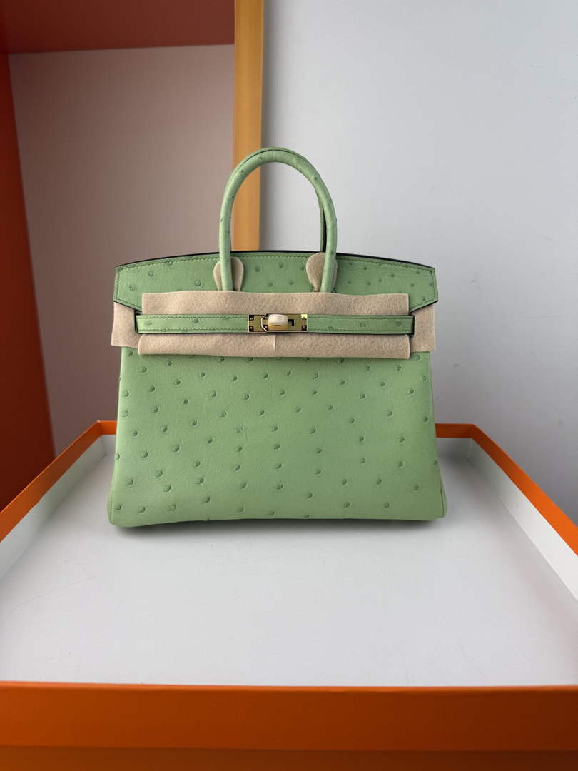 Hermès birkin bag 25cm ostrich leather