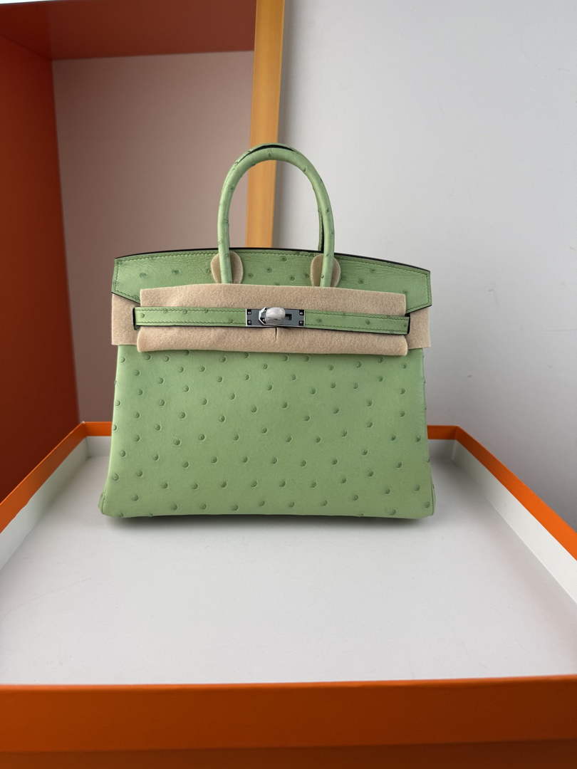 Hermès birkin bag 25cm ostrich leather