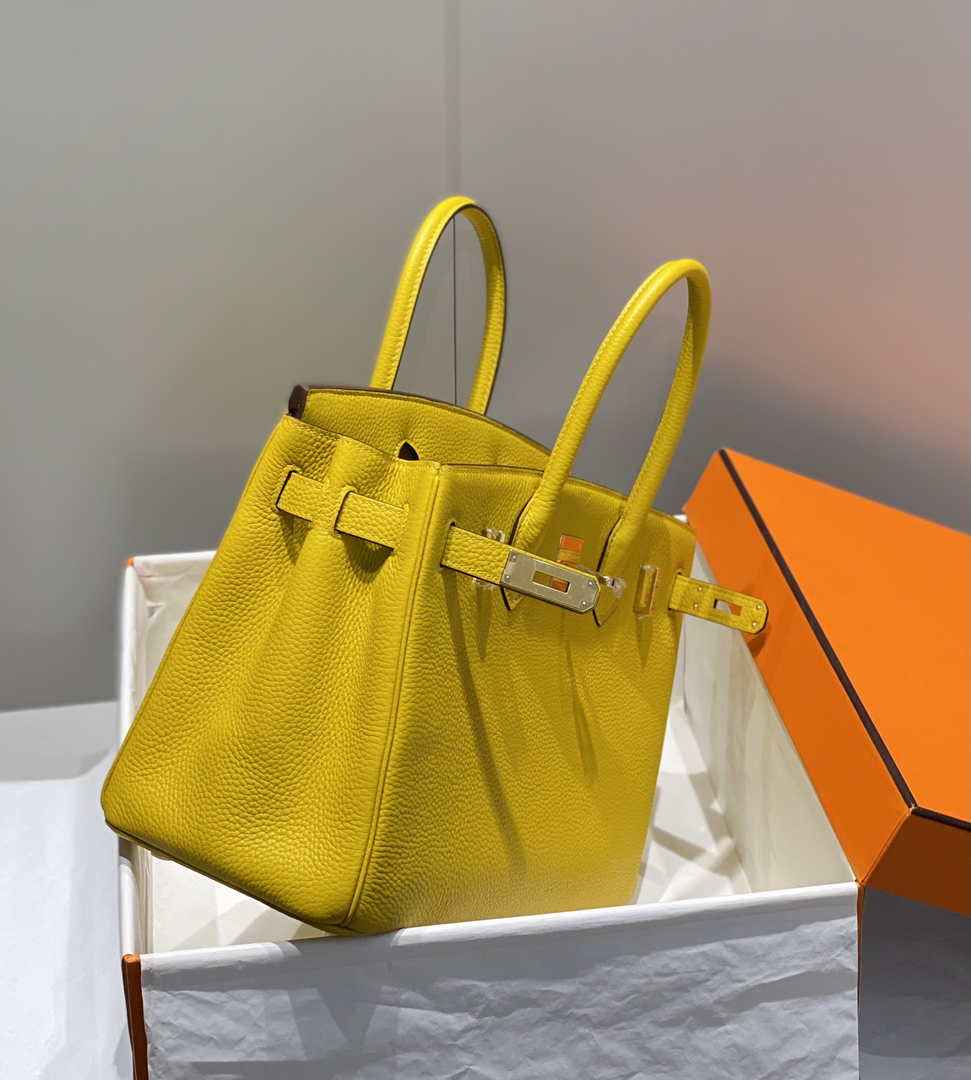Hermes Birkin Bag Togo Leather Top Quality 2025539