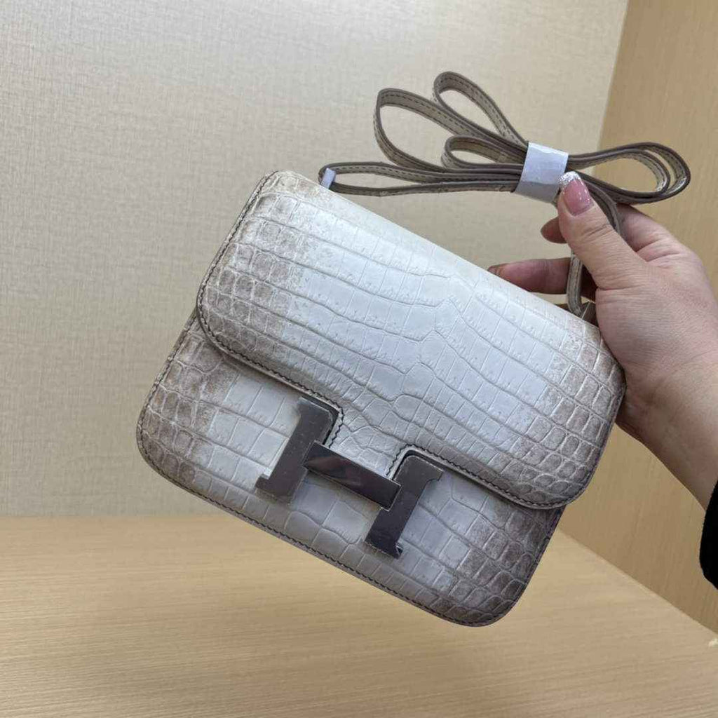 Hermes Constance Crocodile Leather Bag Beige Silver H282280