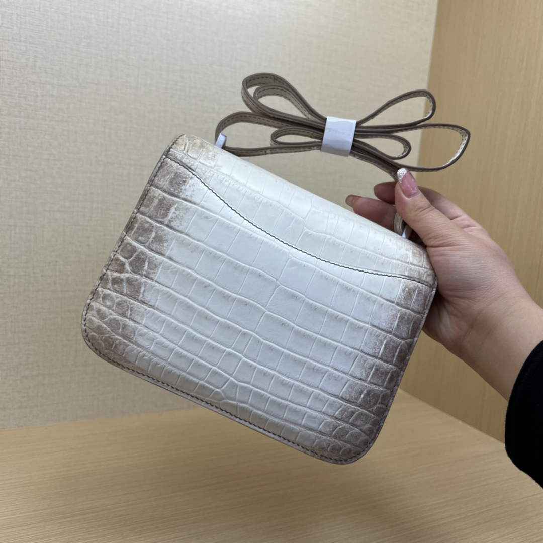 Hermes Constance Crocodile Leather Bag Beige Silver H282280