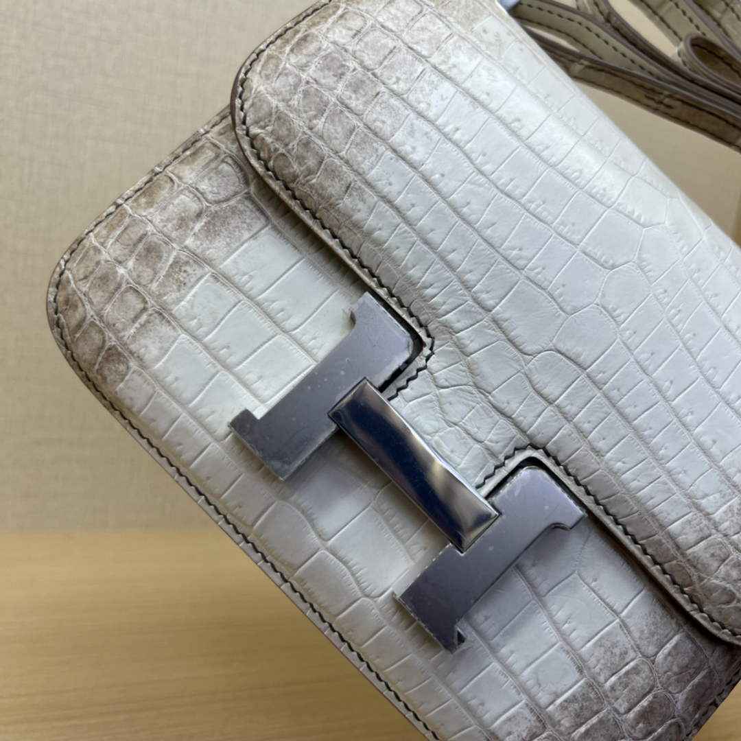 Hermes Constance Crocodile Leather Bag Beige Silver H282280